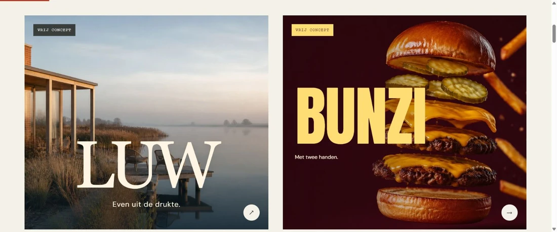 Portfolio van Fikra & Form met de als vrij concept gelabelde merken LUW en BUNZI.